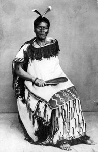 Maorimiehen muotokuva ennen vuotta 1880